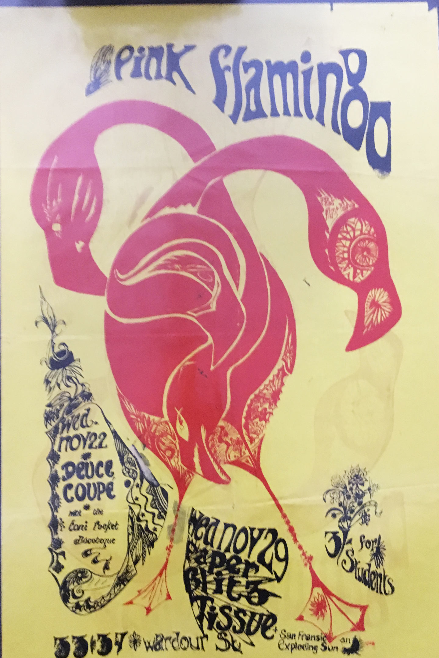 Flamingo