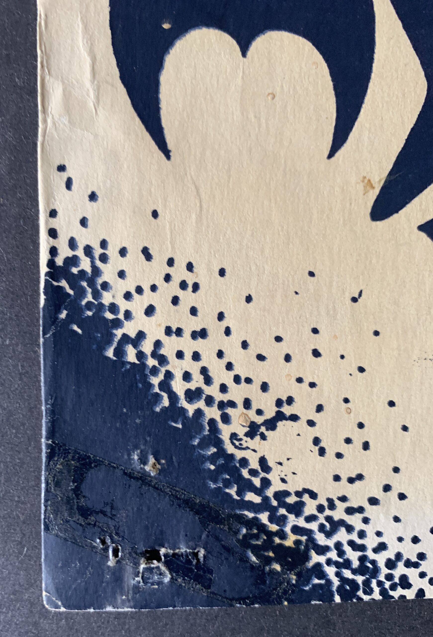 IMG_8621