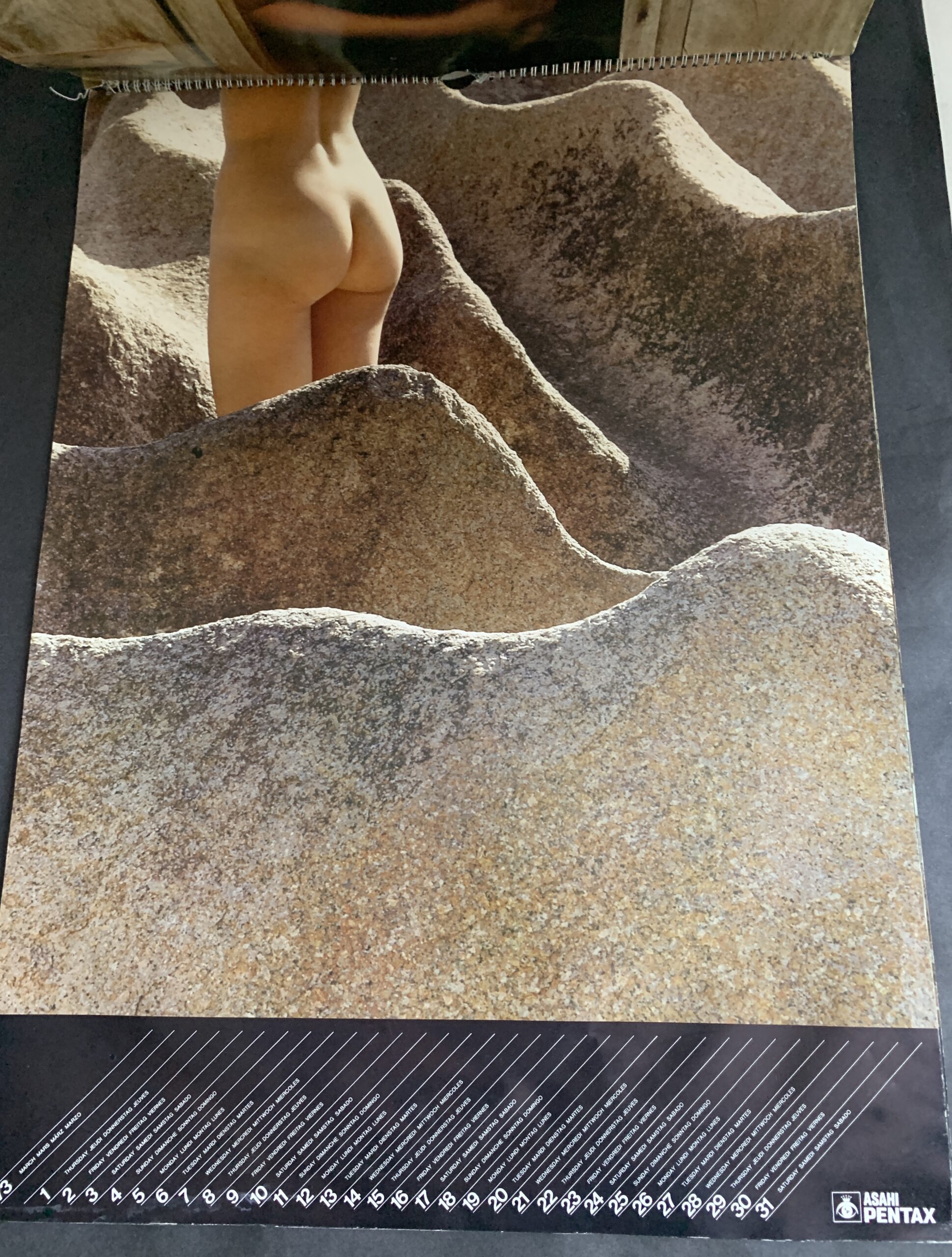 IMG_3816